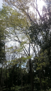 20140417.jpg